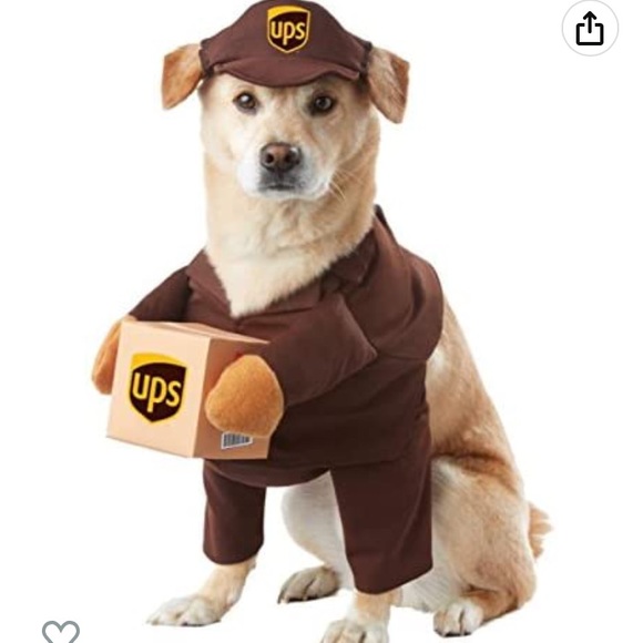 California Costumes Pet Ups Pal Dog Costume - Picture 3 of 3